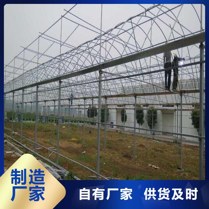 火龙国大棚联系电话