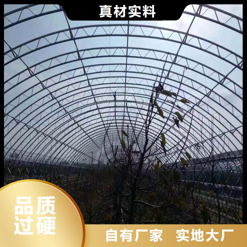 临湘县暖棚实体厂家
