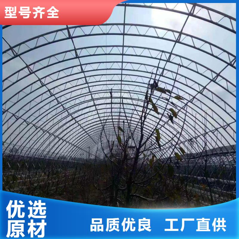 联栋大棚价格公道