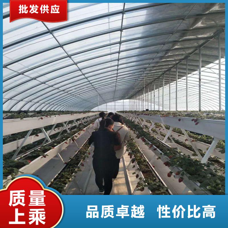 双阳区单体大棚感兴趣