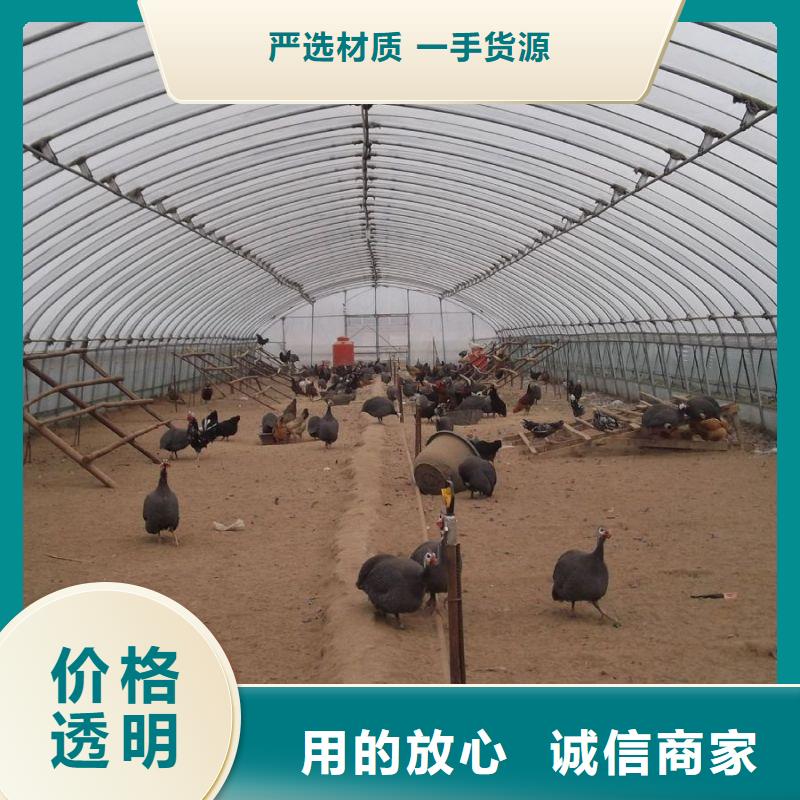 高港区果树大棚钢管哪里
