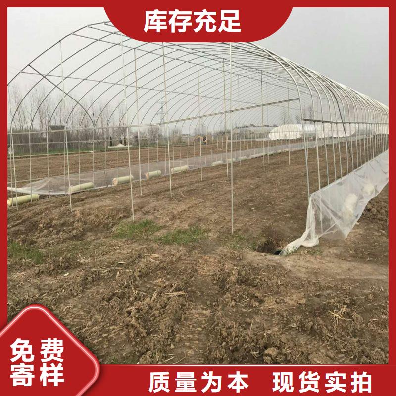 宣化区养鸡定尺大棚管下单