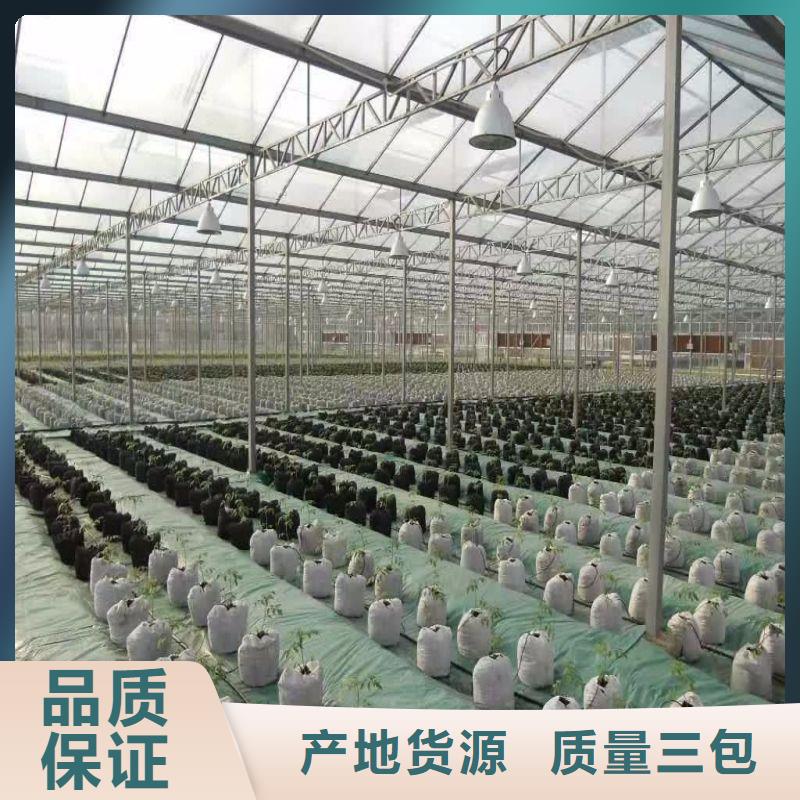 高港区果树大棚钢管哪里