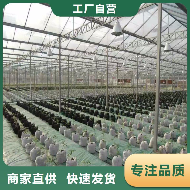 珠晖区多跨度大棚骨架机