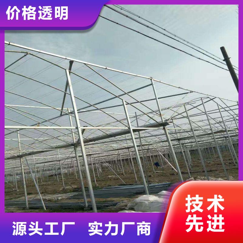 安福种植大棚生产基地