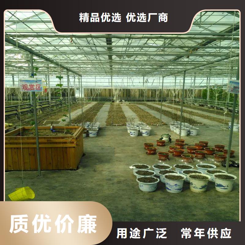 洞头区温室大棚热镀锌钢管多少钱