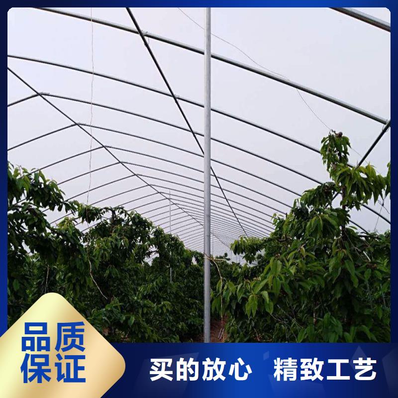 容县金洲大棚管生产厂家