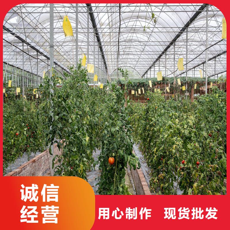 永靖县茄子大棚管配件怎么买