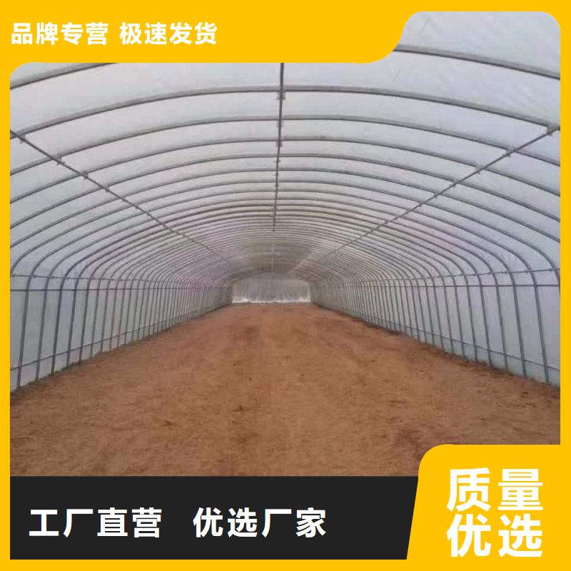 清河区种植大棚采购