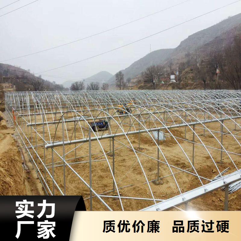 西陵区高品质大棚骨架多少钱