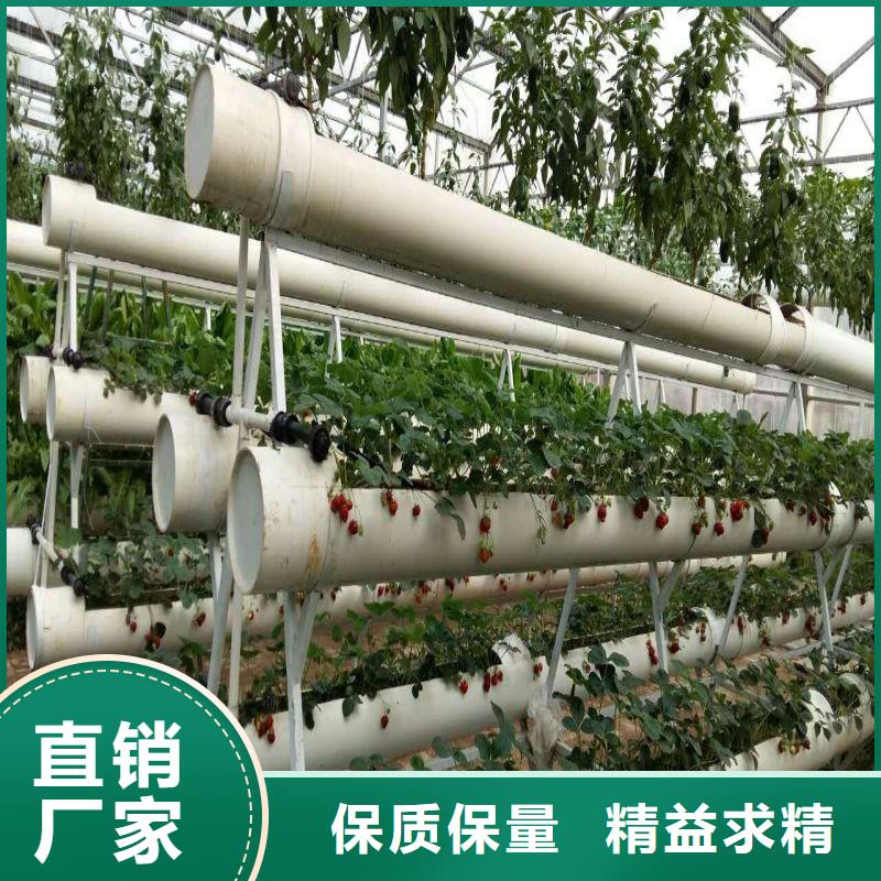 新干县连体大棚用镀锌管喜欢