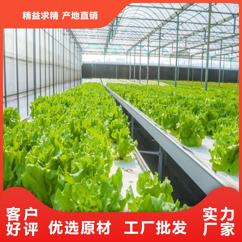 宝兴县柑橘大棚骨架管