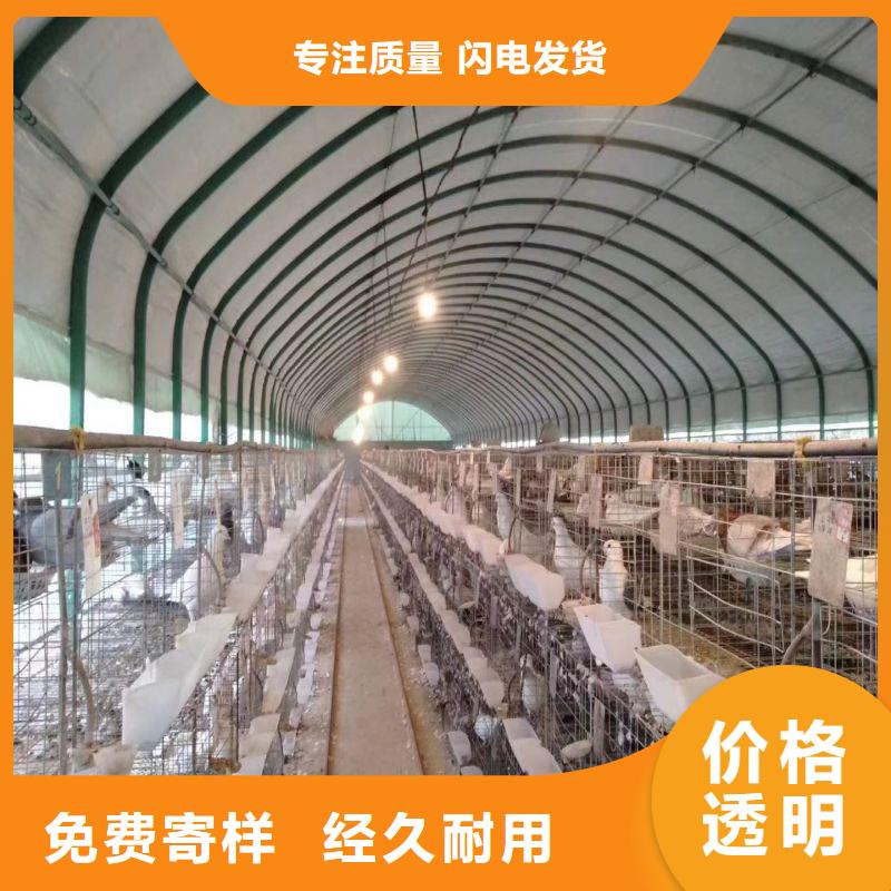 东坡国标大棚管生产厂家