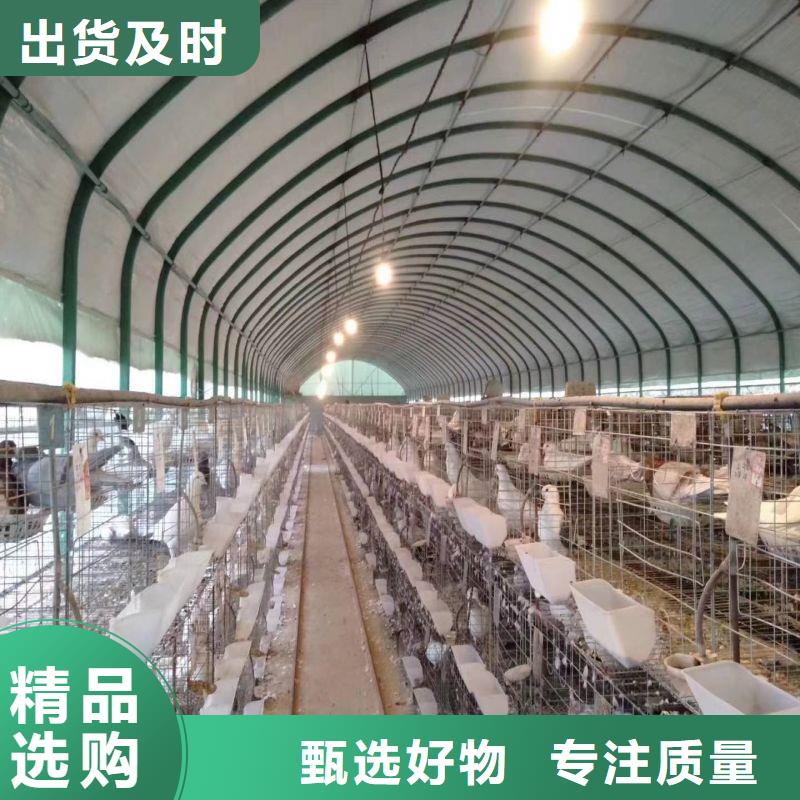 容县金洲大棚管生产厂家