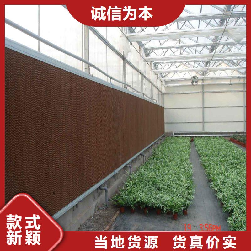 连栋大棚的优缺点价格行情2025