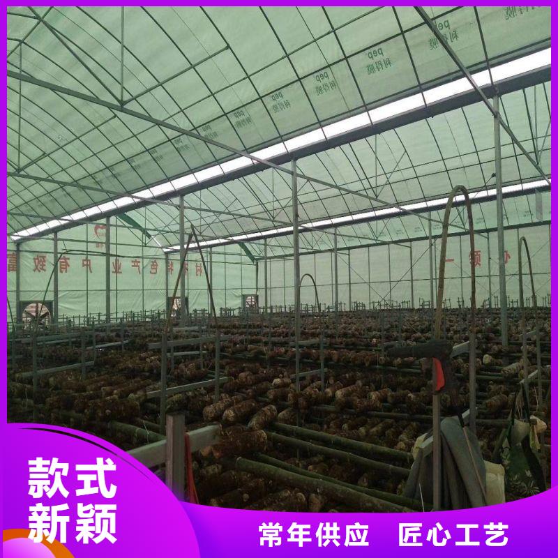 连体大棚用镀锌管地址