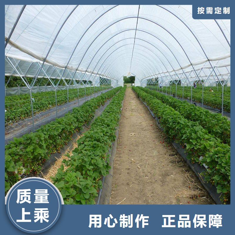 江油连栋大棚造价多少一亩生产厂家2025
