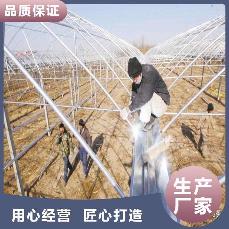 云溪接地扁钢白菜价供应