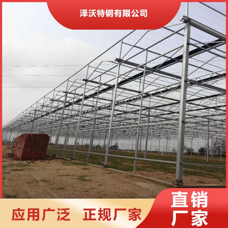蔬菜连栋大棚管种植基地
