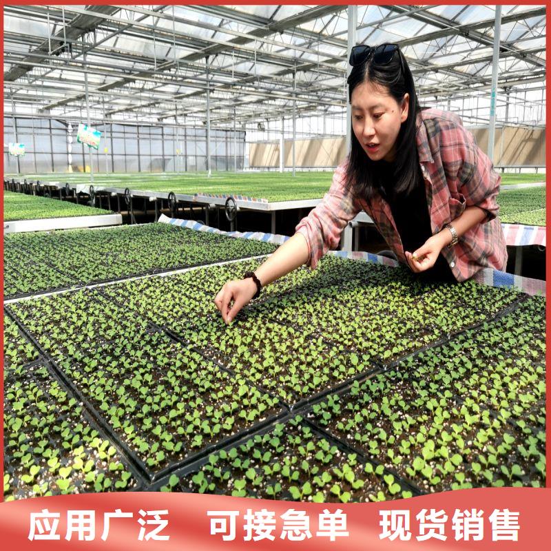 华蓥县黄瓜大棚骨架管