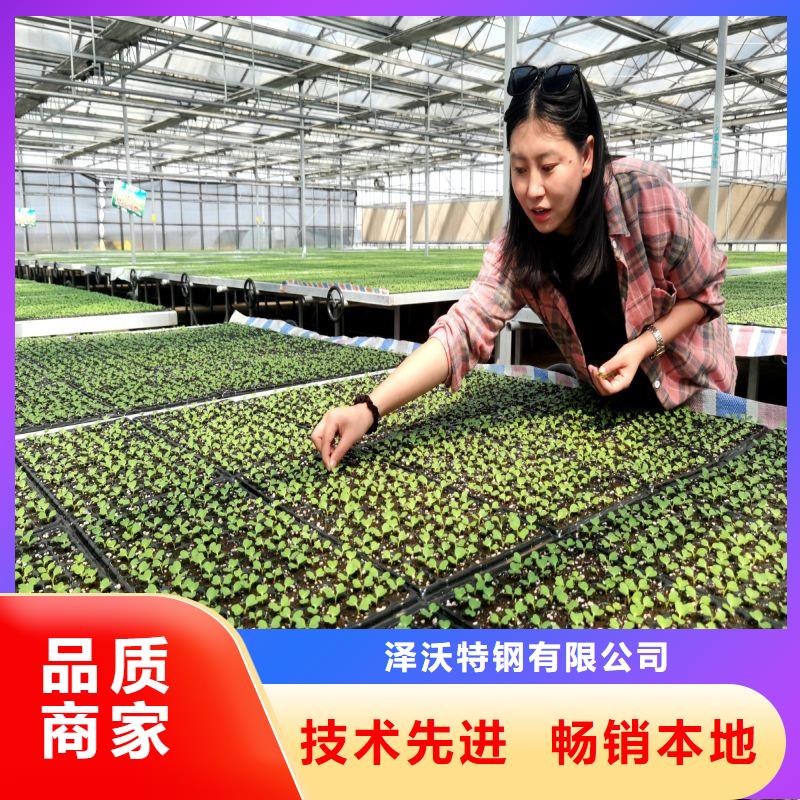 梅列区简易温室价格行情