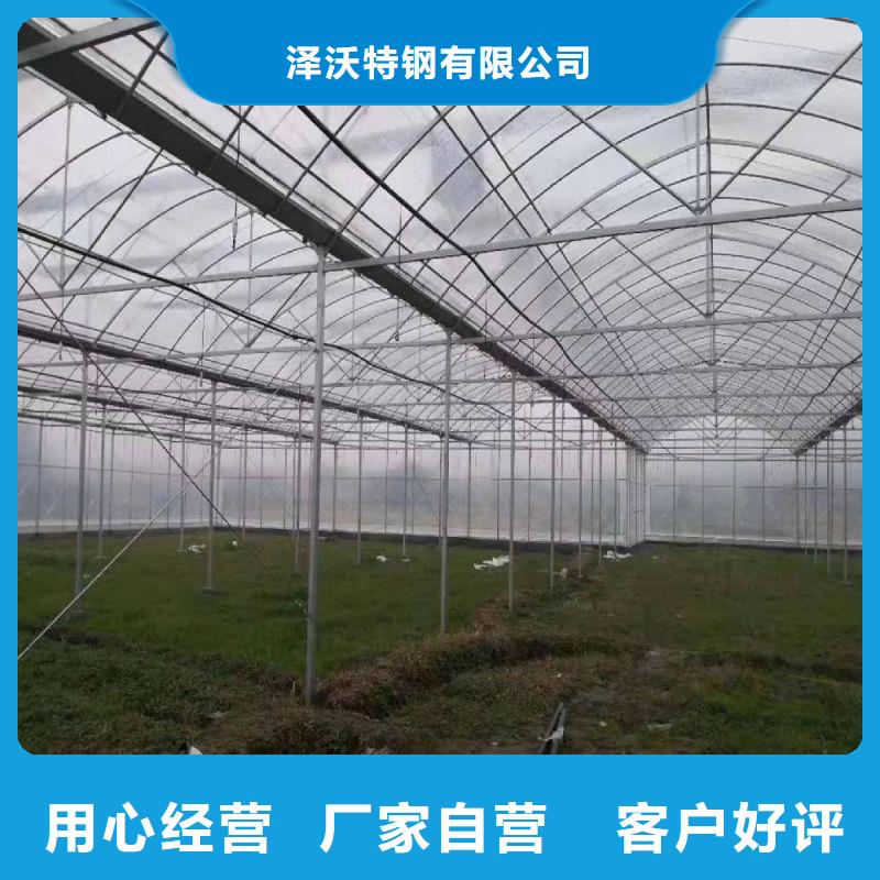 连栋大棚结构图质量放心2025
