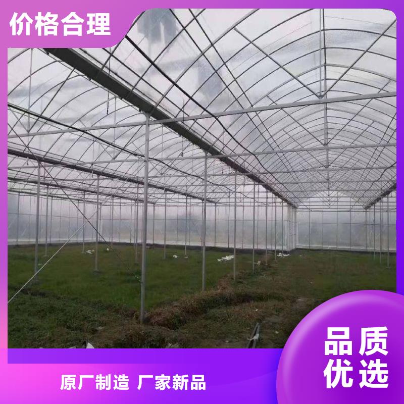 莱城连栋大棚图片欢迎电询2025