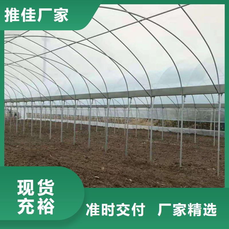 衡南连栋大棚批发价格2025