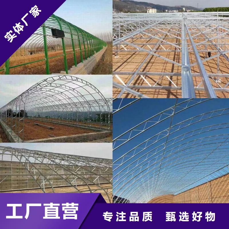 凤山街道连栋温室大棚来电咨询