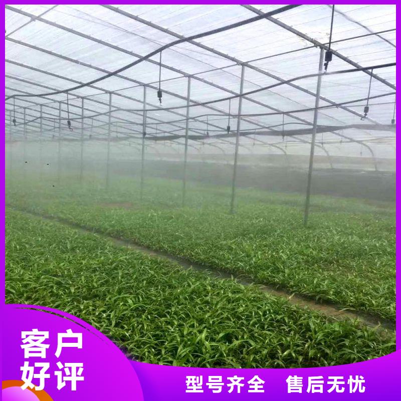 彰武金洲大棚管配件