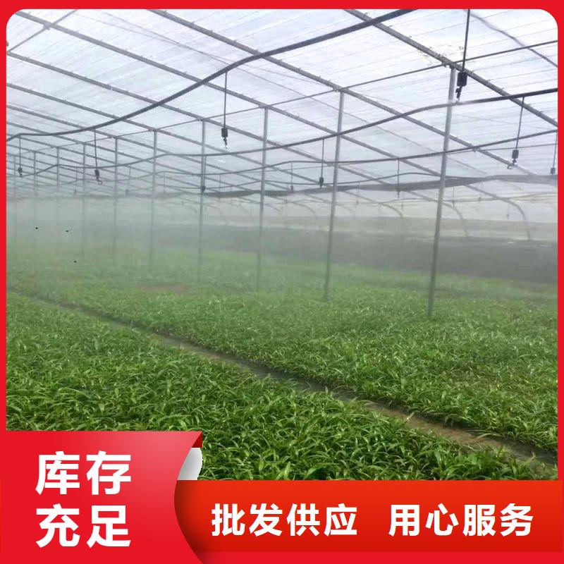 北塘区大棚风机咋买