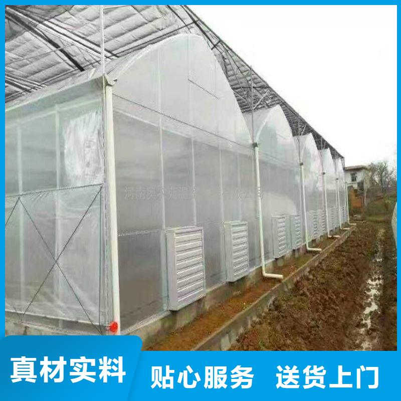 东至连栋大棚的优缺点价格行情2025