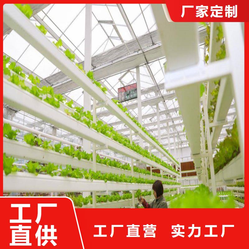 新建无锡连栋大棚询问报价2025