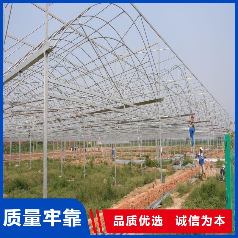 桃江县火龙果大棚管厂家