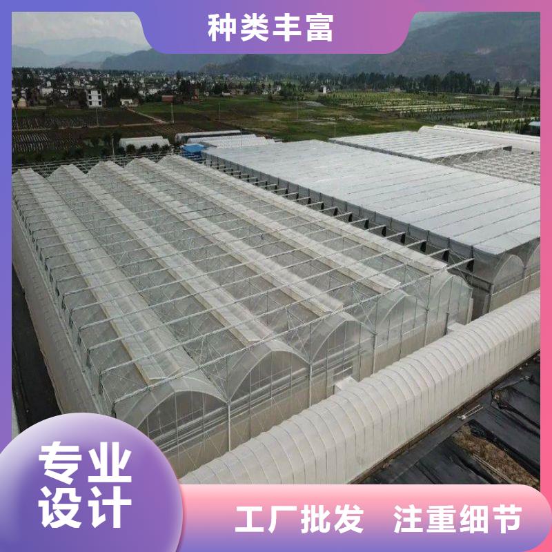 龙亭连栋大棚图片购买2025