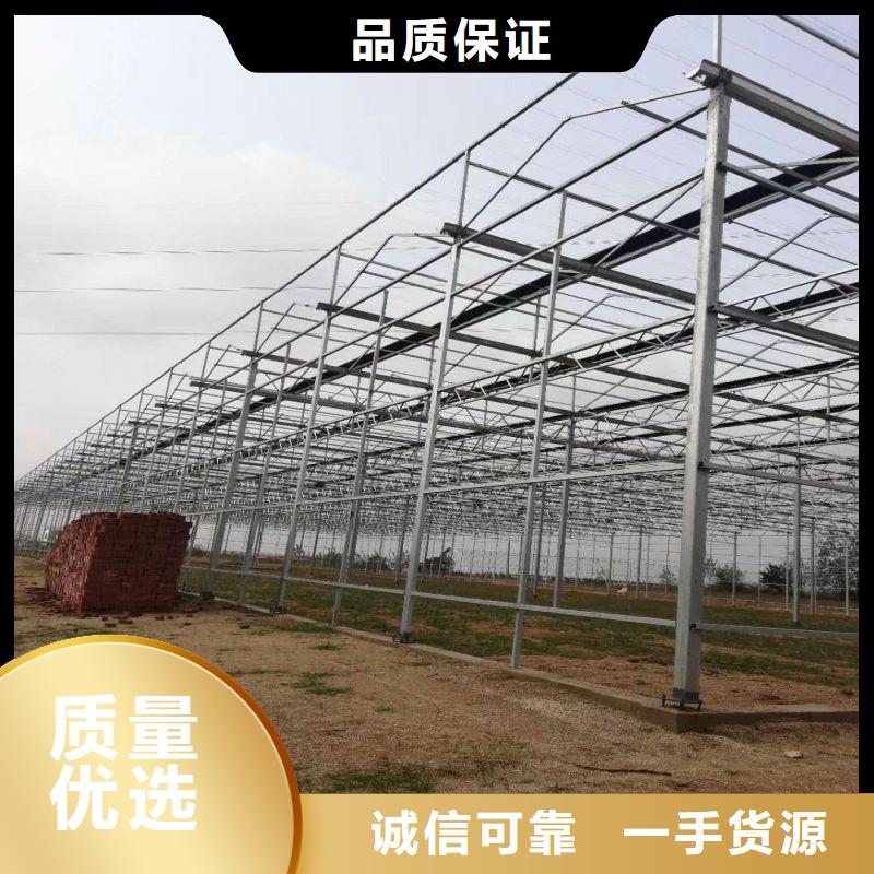 望都县大棚设备正规厂家