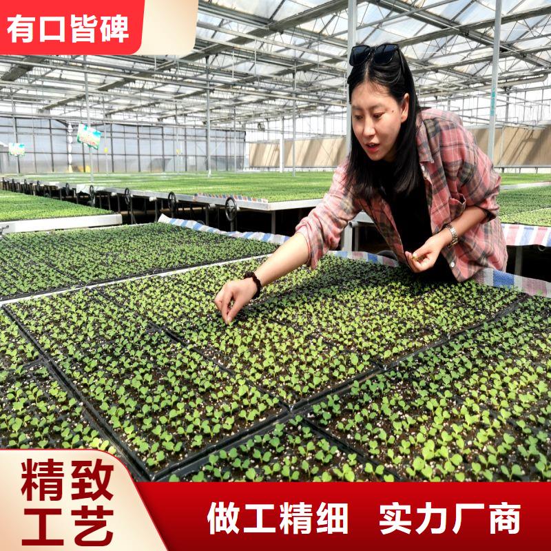 凌源市高品质大棚骨架