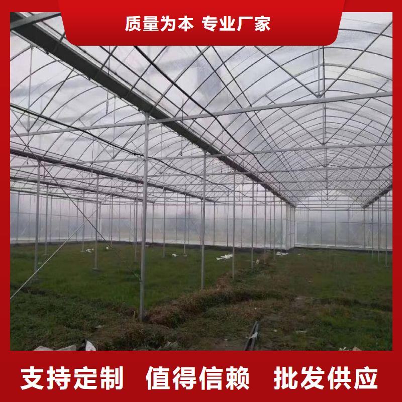 大棚管2连体大棚用品质说话