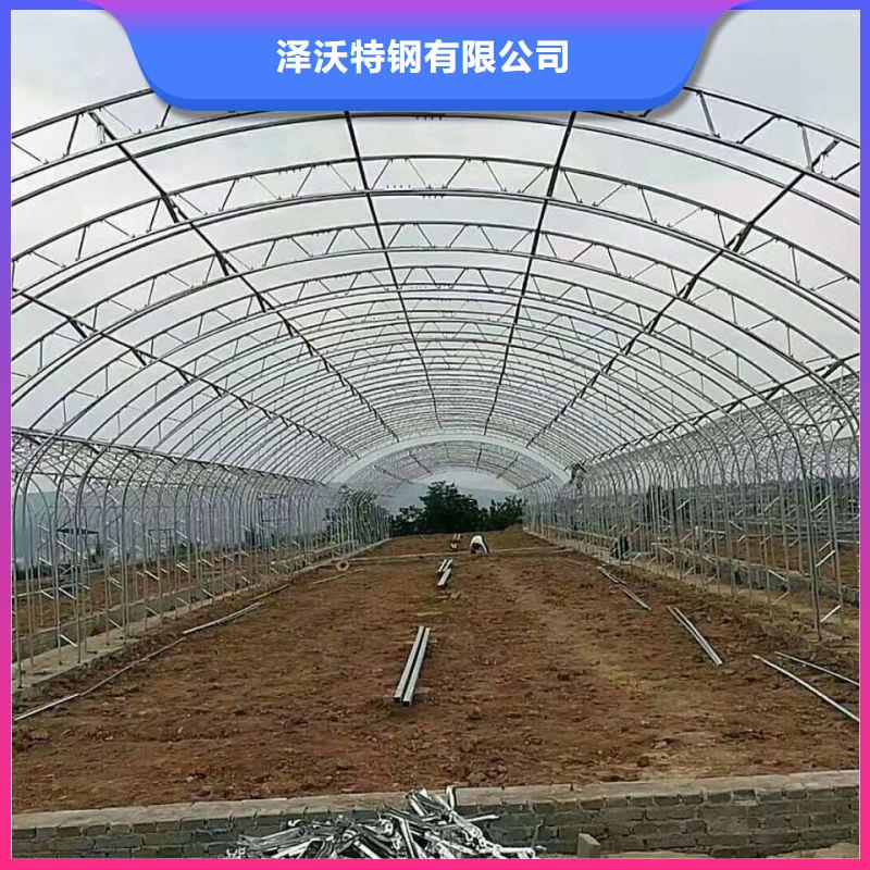 龙亭连栋大棚图片购买2025