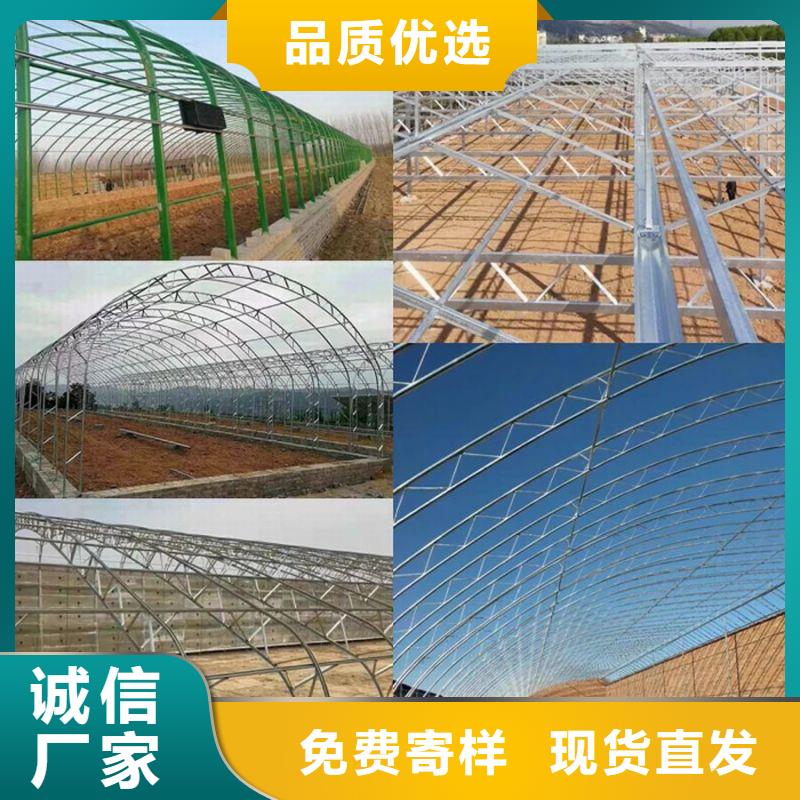 开远市苗床价格