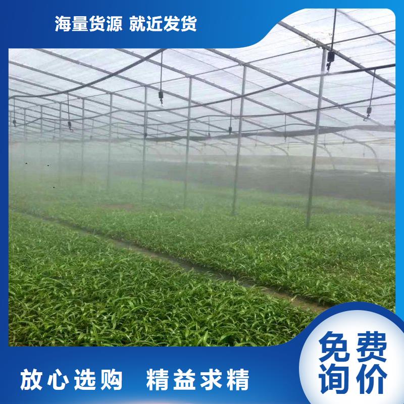 高港区果树大棚钢管哪里
