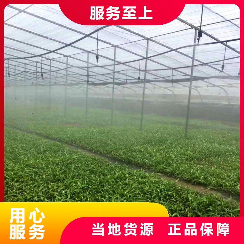 鹰手营子矿无锡扁钢包安装