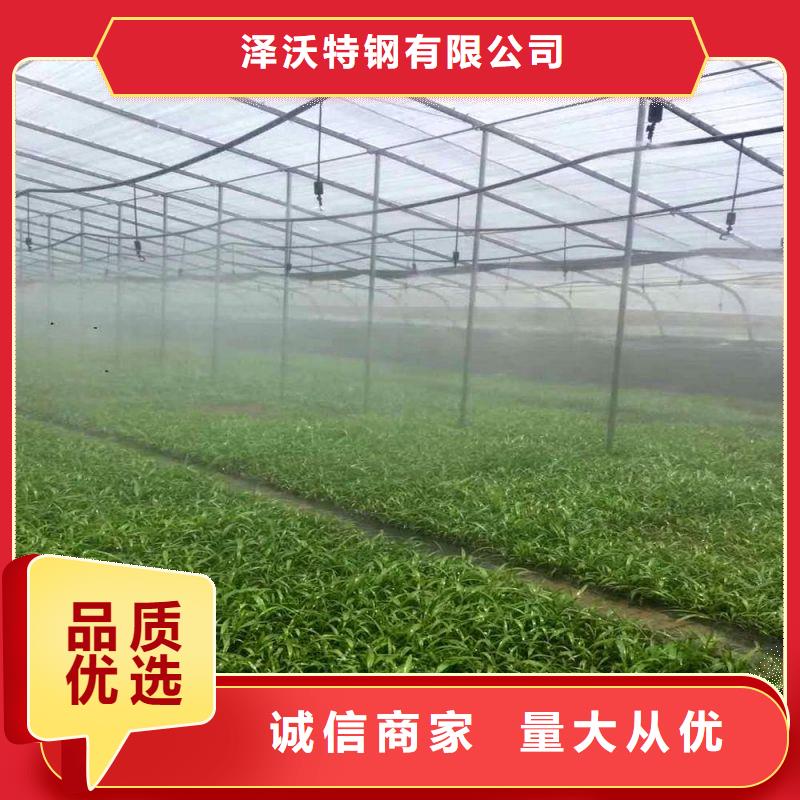 东里镇连体大棚管,咋买