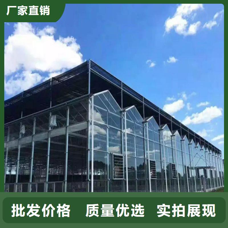民乐县防虫网性价比高