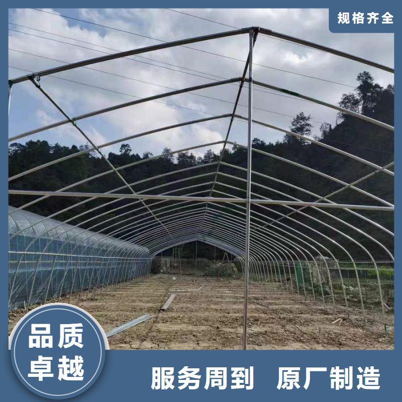 连栋大棚结构图质量放心2025