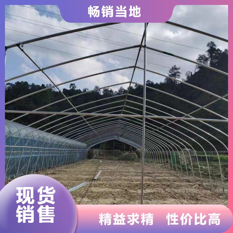什邡6分大棚管折弯