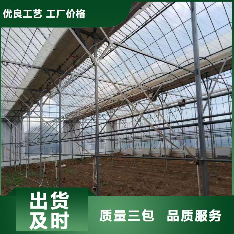 广德县纹络型玻璃温室正规厂家