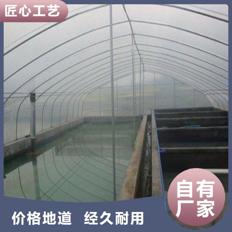 衡南连栋大棚批发价格2025