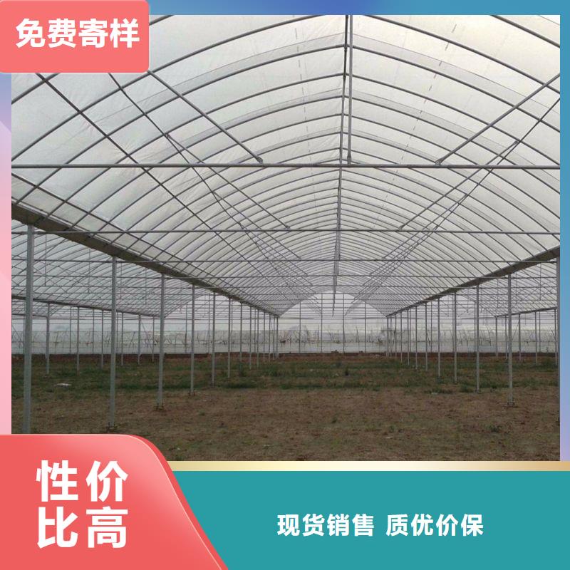 徐闻县大棚管厂家采购