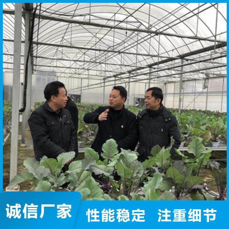 大棚材料及各种配件企业-实力雄厚